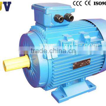 Y series ELECTRIC MOTOR