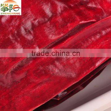 New Crop Manufacturer Supply Dried Red Sweet Paprika High ASTA photo-4