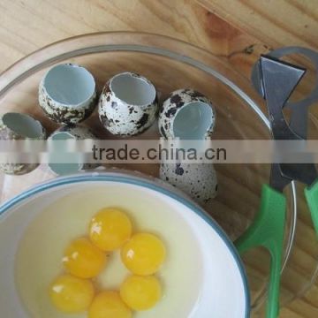 200pcs/Lot Quail Egg Scissors