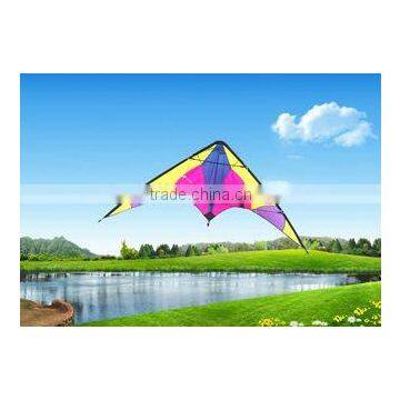 Dual Line Delta Stunt Kites - Curved Edge Kites