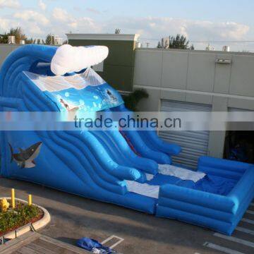 Hola inflatable water slide/inflatable slide for sale