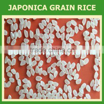 Japonica Rice (Mr.Ken - Email: sales3@vinarice.vn - website: sonainter3)