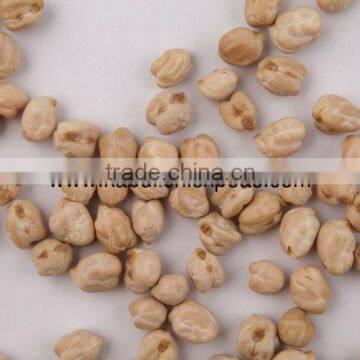 Protein Chickpeas Supplier photo-3
