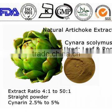 100% Natural Chinese Cynarin Artichoke Extract Cynarin 2.5%-15% powder