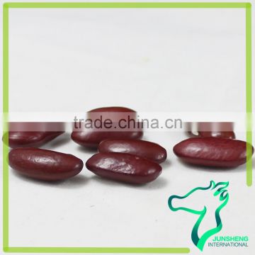 Competitive Price Fresh Dark Red Kidney Beans