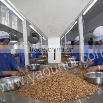 Wholesale Price Apricot Kernels photo-5