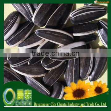 24/64 LESS VERMIN DAMAGE CHINA HIGH QUALITY ALL KINDS OF SUNFLOWER SEEDS 909