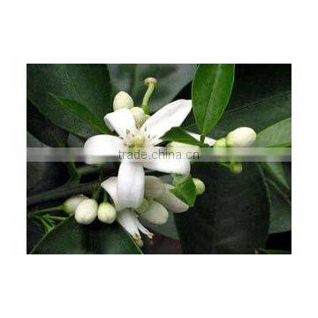 India's No. 1 Neroli Essential Oil photo-2