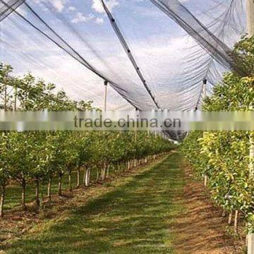 Yemen Used Plastic Bee Net/anti Hail Net for Crops,Weave 13 Mesh,plastic Plate Anti Mesh Net Against Hail for Tree