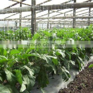 Virgin HDPE Square plant support net
