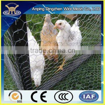 Poultry Electric Galvanized Fence Netting for chicken farms used Made in China