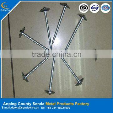 hot sale zinc coated roofing nails factory/ roofing nails manufacturer