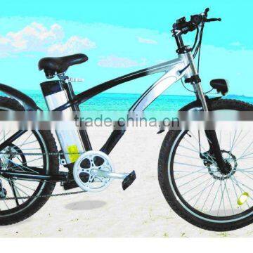 Electric Bike