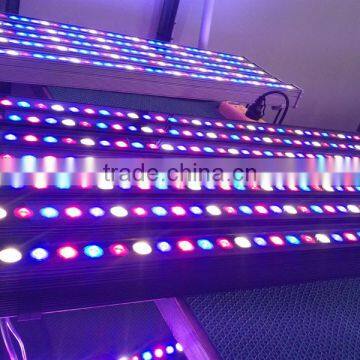 36W LED Grow Bar Light With Bridgelux Chip Full Spectrum Hydroponic Cultivation