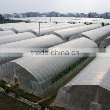 Tunnel Greenhouse photo-4