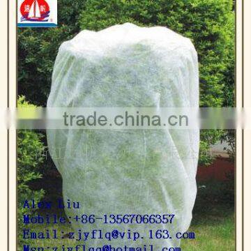 100% PP Spunbonded Non Woven Fabric Used for Agriculture Plant Cover or to Prevent the Weed and so on photo-4