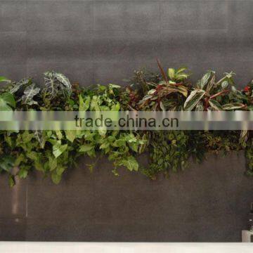 Home and Outdoor Decoration Synthetic Cheap Artificial Vertical Green Grass Wall E08 04R18 photo-6