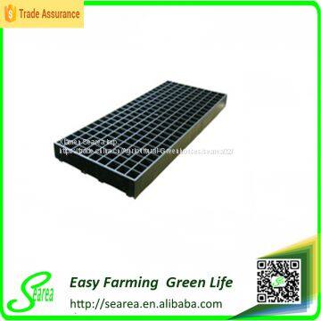 Seed-Starting Secrets of a Greenhouse Professional