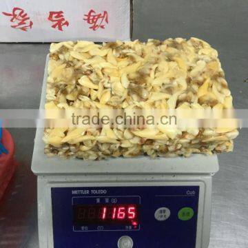 frozen suff clam meat