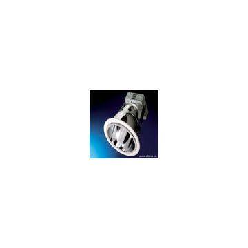 Sell Vertical Down Light