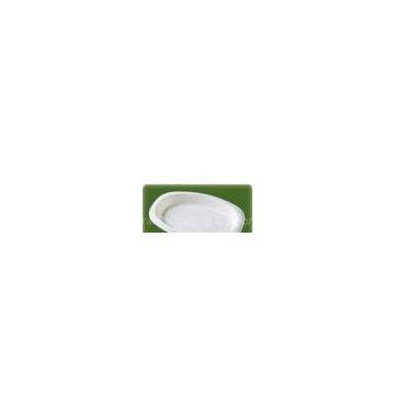 Eco-friendly Disposable Plate