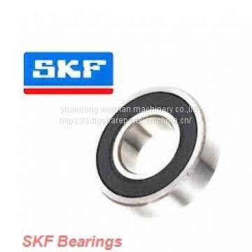 SKF Bearing