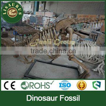 Lisaurus-L-0007 Dinosaur statues for sale , dinosaur fossil/skeleton.