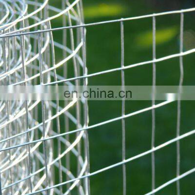 Cage Galvanized Welded Wire Mesh Roll 16 Gauge Plain Weave Welded Wire Mesh photo-3