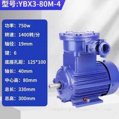 Wholesale Customized Electric Copper AC Motor for Explosion Proof Mining Motor