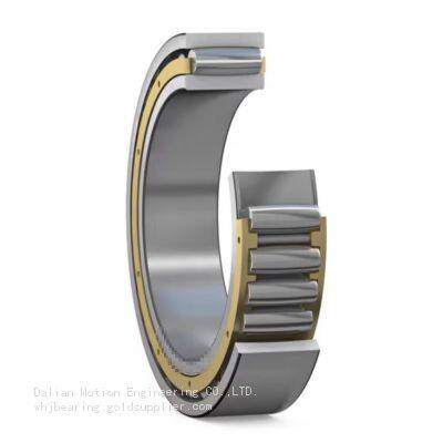 Single Row Cylindrical Roller Bearing C3088 BRASS CAGE CARB BEARING
