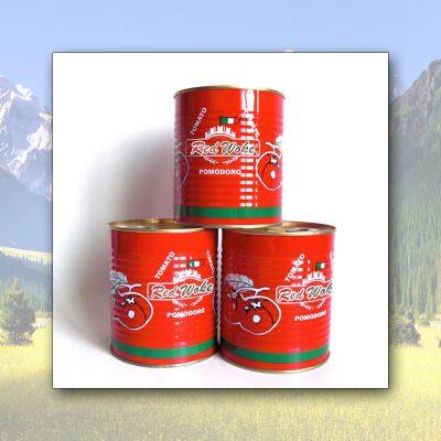Canned Tomato Paste photo-3