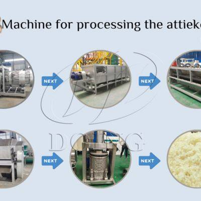 Small Scale 1-2TPH Attieke Making Line Cassava Procesing Plant for Attieke Production Peeler-Grater-Presser-Granulator-Steamer photo-2