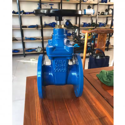 BS Standard Cast Iron Ductile Iron GG25 GGG50 DN50 DN100 PN16 Soft Seal Gate Valve Non-Rising Stem Gate Valve