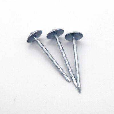 Electroplated Roofing Nails with Washer for Corrugated Sheets