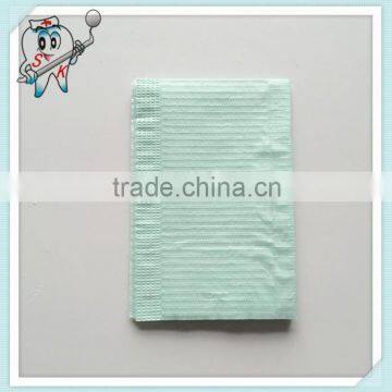 33x45 Light Green dental bib