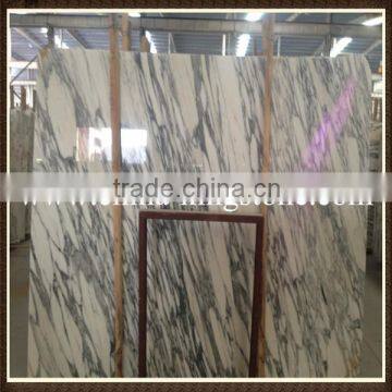 Hot sale imported marble arabescato carrara for Floor and Wall