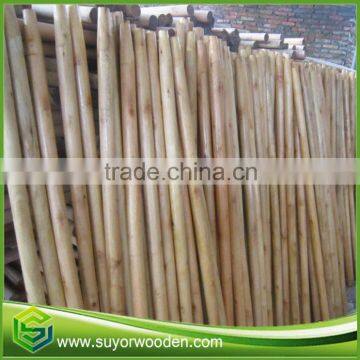 Made In Guigang Wooden Chinese Varnished Wooden Broom Stick Handle