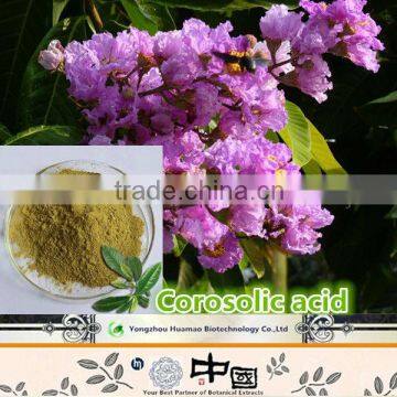 Professional manufacturer major banaba leaf extract natural organic Cosolic Acid