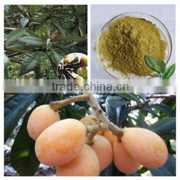 Consumer 10% Corosolic Acid