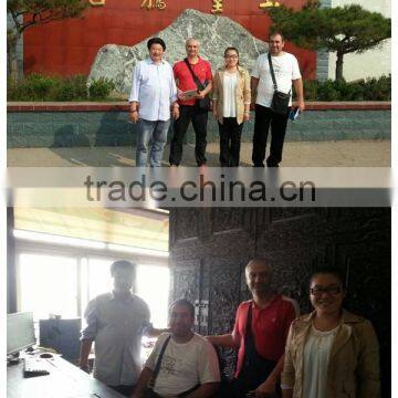 Longteng Bearing Steel Bars photo-5