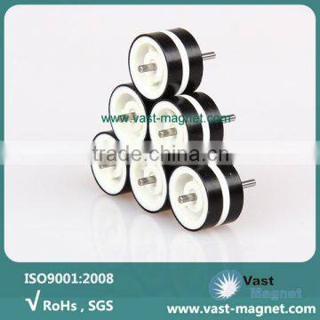 electric meter motor magnet