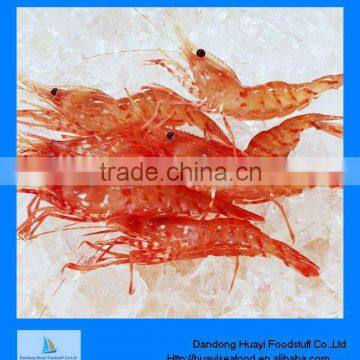 shrimp wholesale