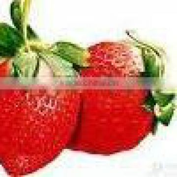 100% Natural Strawberry Powder