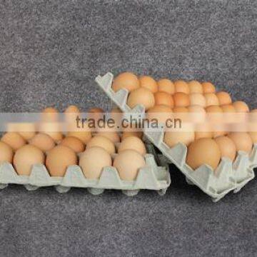 Paper Pulp High Quality Egg Tray Egg Carton
