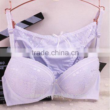 Wholesale best sales bridal bra and panty(CSM022)