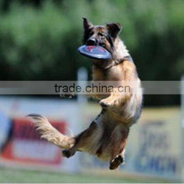 Outdoor Toys Plastic Frisbee Flying Disc Toys for Kids photo-1