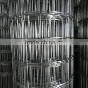 First Level Quality Welded Wire Mesh 9 Gauge