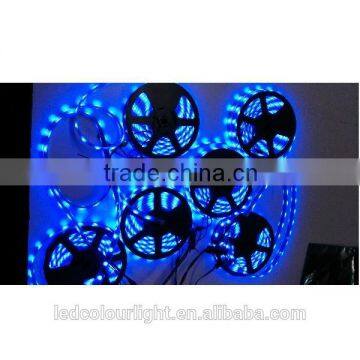 Christmas Lights Sale Led Dmx Control Flexible Strip photo-5