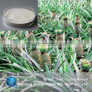 High Quality Bromelain Wholesale Organic Pineapple Extract Bromelain Powder photo-4