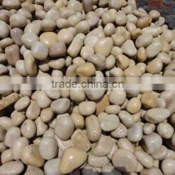 Beautiful Pebbles for garden decoration